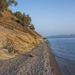 Seralis Pelion 아피소스