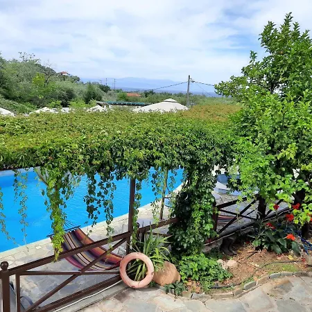 Seralis Pelion Афиссос