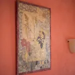 Seralis Pelion 4*