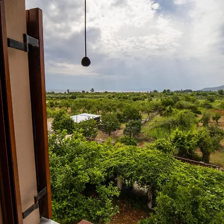 ゲストハウス Seralis Pelion アフィソス